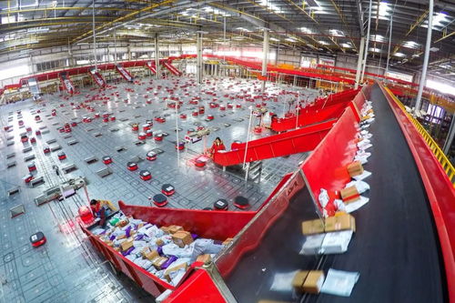 京東新業態服務民生顯身手，日用百貨銷售引領消費新體驗