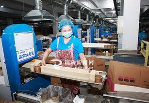 紙制產品與日用百貨 日常生活不可或缺的銷售雙星